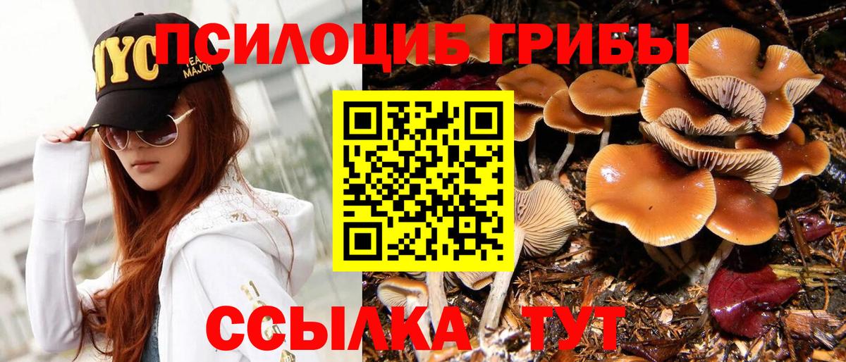 Сатка  Псилоцибиновые грибы GOLDEN TEACHER  Галлюциногенные грибы Cubensis  купить наркотик  Вход с VPN 