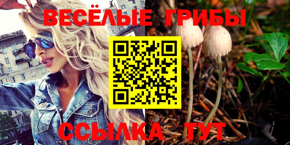 Псилоцибиновые грибы Cubensis Сатка